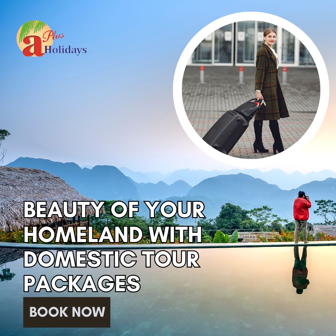 Unlocking the Beauty of Your Homeland with Domestic Tour Packages
